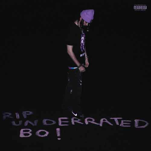 دانلود آلبوم جدید امین تیجی به نام RIP Underratedbo