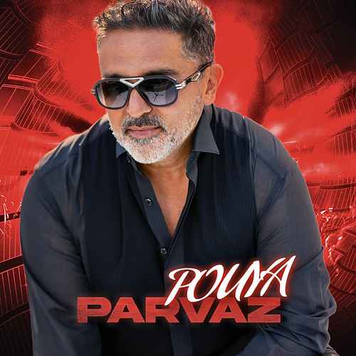 دانلود آهنگ جدید پویا به نام پرواز