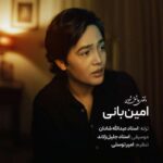 دانلود آهنگ جدید امین بانی به نام وقتی عاشق شوی