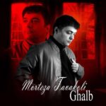 دانلود آهنگ جدید مرتضی توکلی به نام قلب