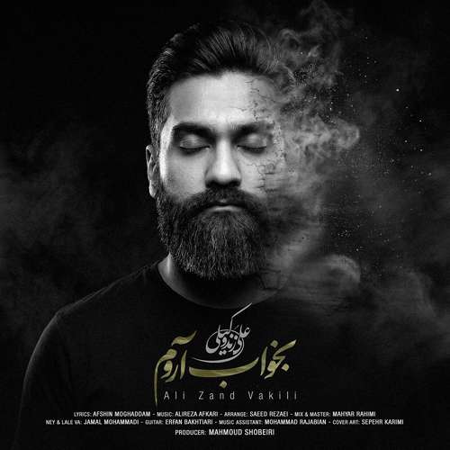 دانلود آهنگ جدید علی زندوکیلی به نام بخواب آروم